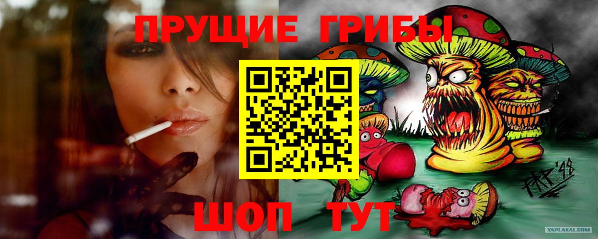 Галлюциногенные грибы Psilocybine cubensis Домодедово